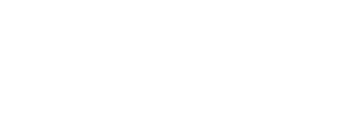 AnyMark logo